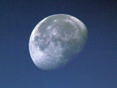 July : Moon - from Tymon Park