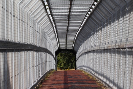 July : Not Checkpoint Charlie, but the footbridge over the M50