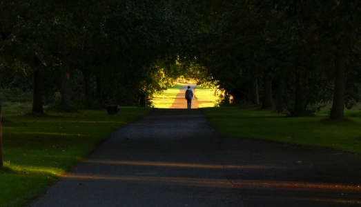 October : The Park early on a beautiful sunny morning