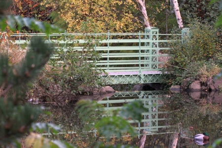 November : Bridge on Tymon Lakes